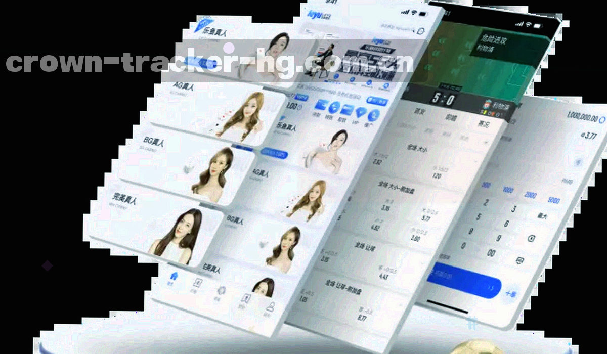 两组数据栏目排布对比的抽象网格示意，用线条密度区分新旧版本
